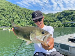 ラージマウスバスの釣果