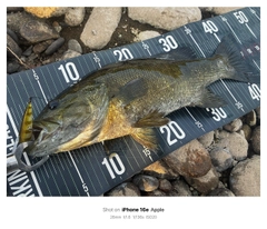 スモールマウスバスの釣果