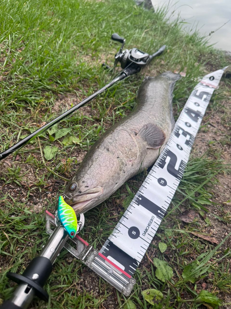 SHIMANO 18ポイズン アドレナ 163Mの最安値・インプレ・釣果 | 本音の