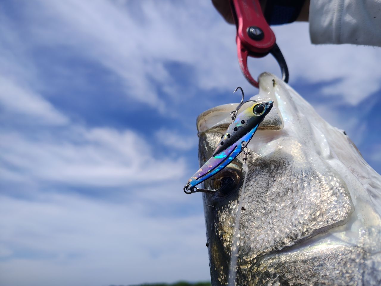 SHIMANO 19ヴァンキッシュ 4000XGの最安値・インプレ・釣果 | 本音の