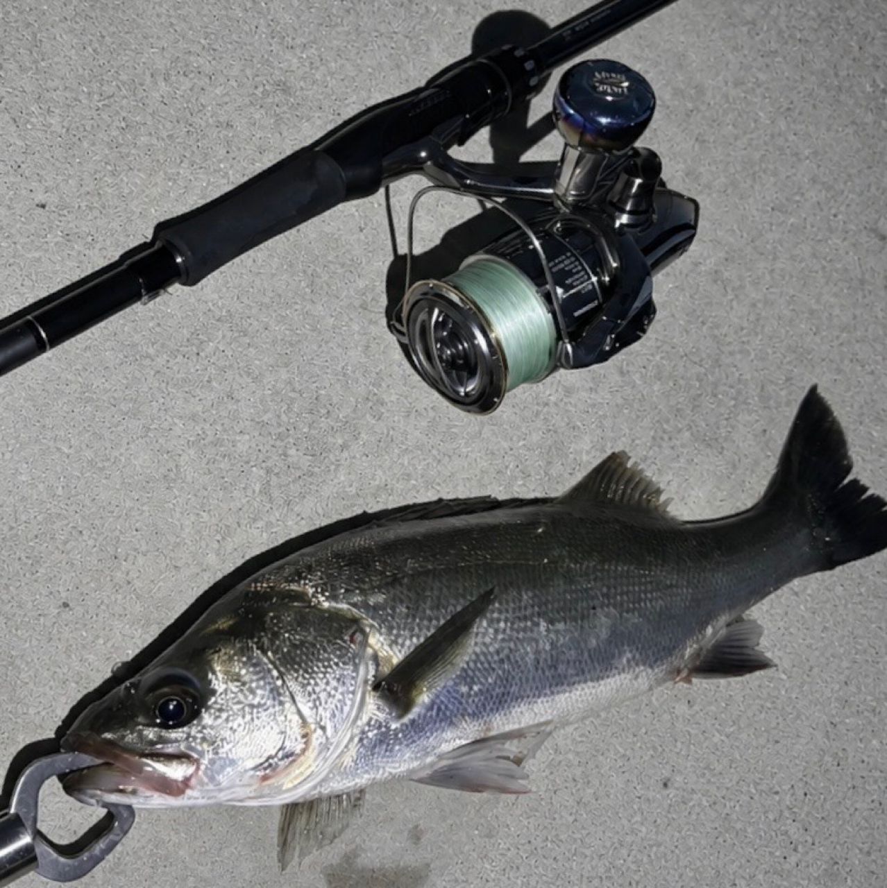 DAIWA 21ラブラックス AGS 100MLの最安値・インプレ・釣果 | 本音の