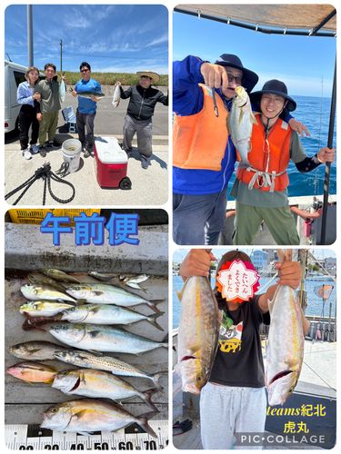 シオの釣果