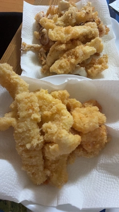 シリヤケイカの釣果