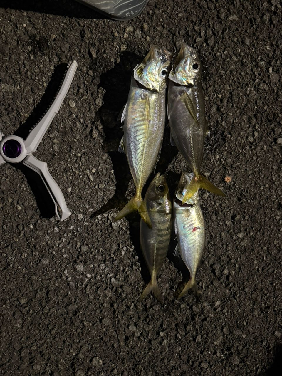 SHIMANO 21ソアレXR S60SUL-Sの最安値・インプレ・釣果 | 本音の口コミ