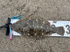 ソゲの釣果