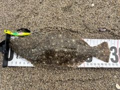 ソゲの釣果