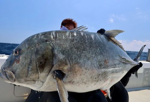 ロウニンアジの釣果
