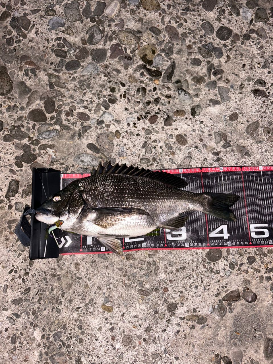 DAIWA 21ラブラックス AGS 93MLの最安値・インプレ・釣果 | 本音の