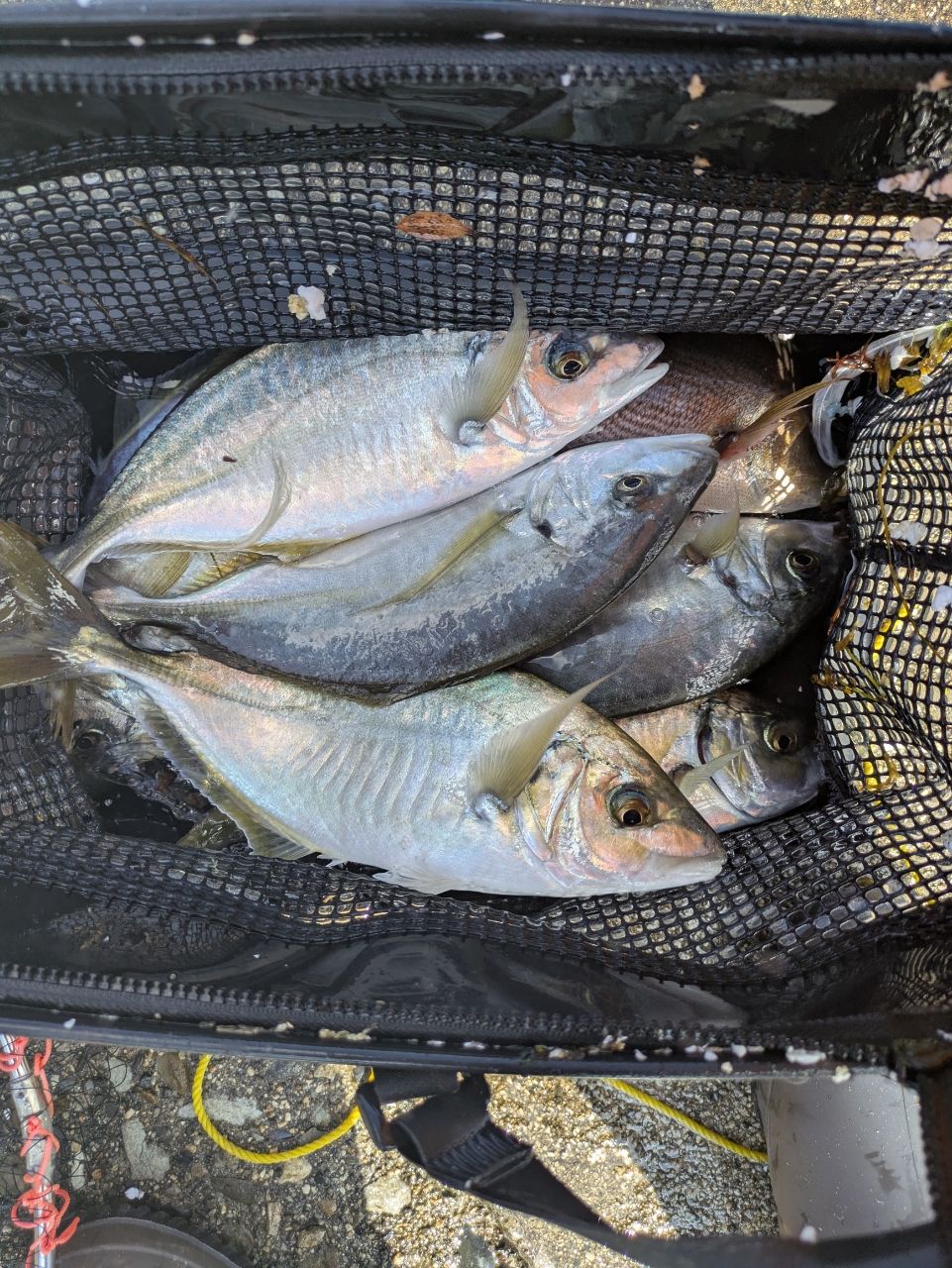 DAIWA 15ヴァデル 4000Hの最安値・インプレ・釣果 | 本音の口コミが