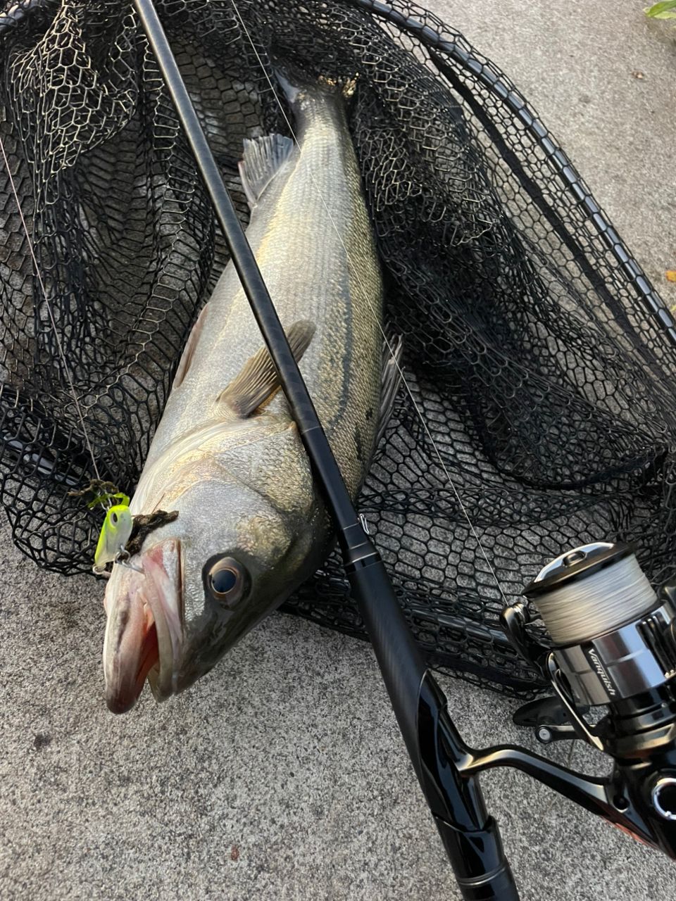 SHIMANO 22エクスセンス ∞ (インフィニティ) S96MLの最安値・インプレ