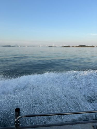 タイの釣果