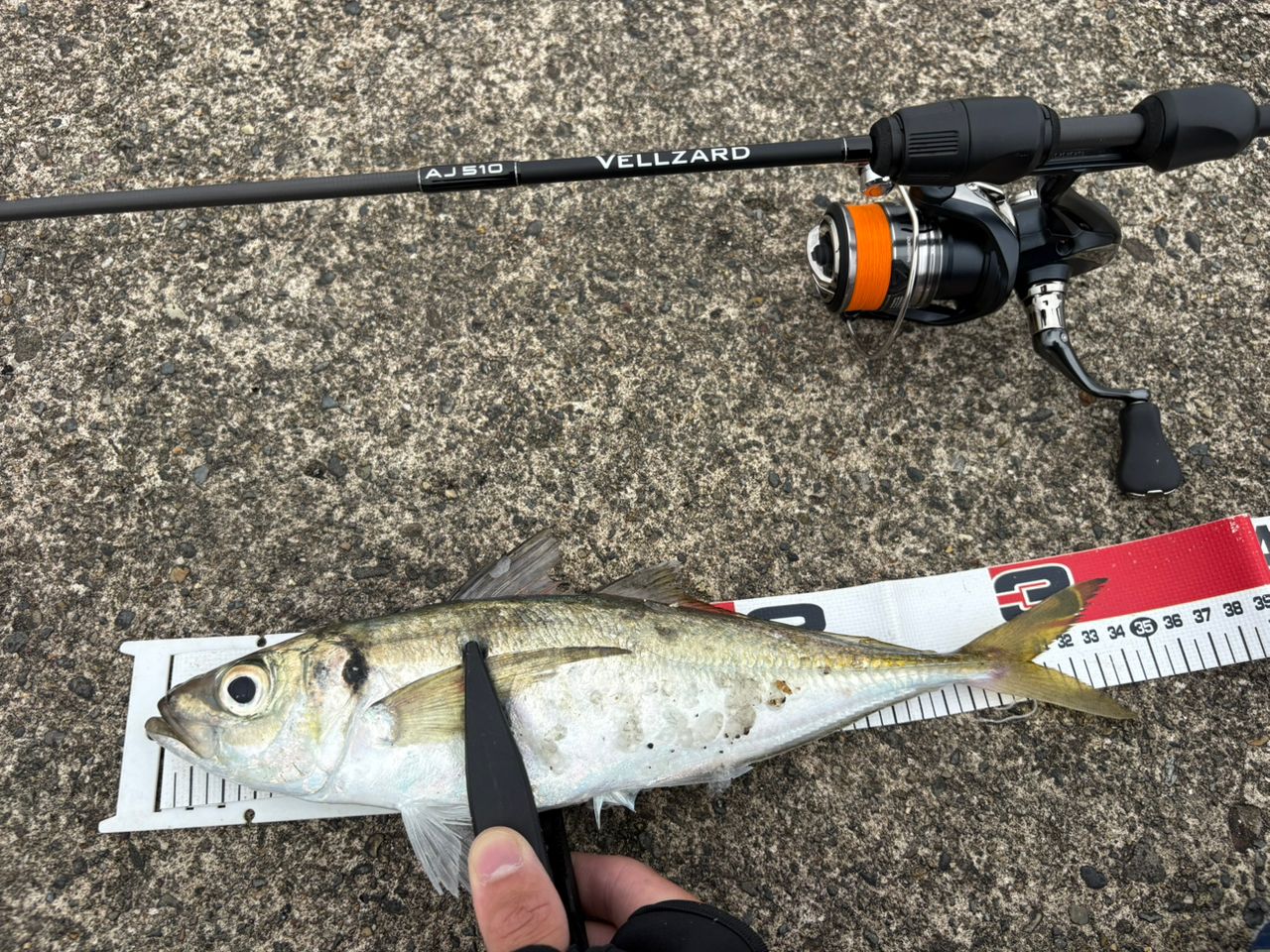SHIMANO 22ミラベル C2000Sの最安値・インプレ・釣果 | 本音の口コミが