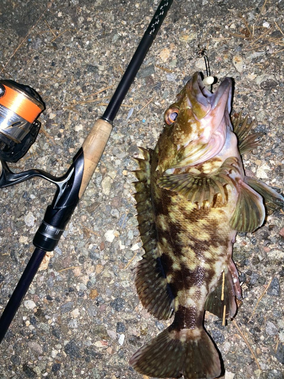 SHIMANO 19ブレニアス S78MLの最安値・インプレ・釣果 | 本音の口コミ