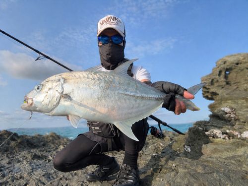 オニヒラアジの釣果