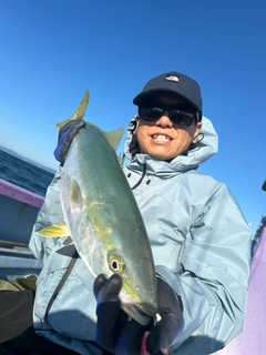 ワラサの釣果
