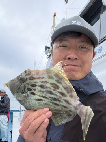 カワハギの釣果