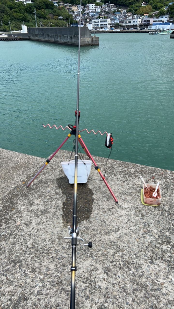 ZENAQ ミュートス ソニオ スピニングモデル 100M(RG)の最安値