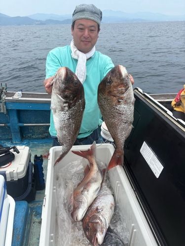 マダイの釣果