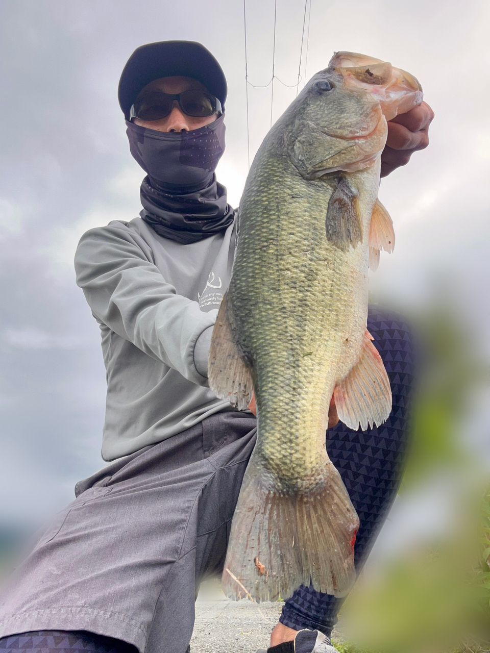 まさや_Bass さんの 2026年06月03日のブラックバスの釣り・釣果情報