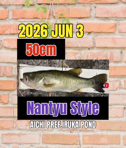 ラージマウスバスの釣果