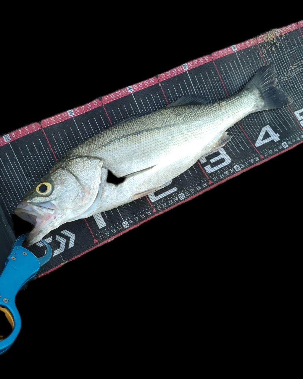 SHIMANO 21ムーンショット S106MHの最安値・インプレ・釣果 | 本音の