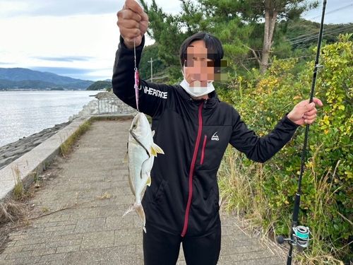 シオの釣果