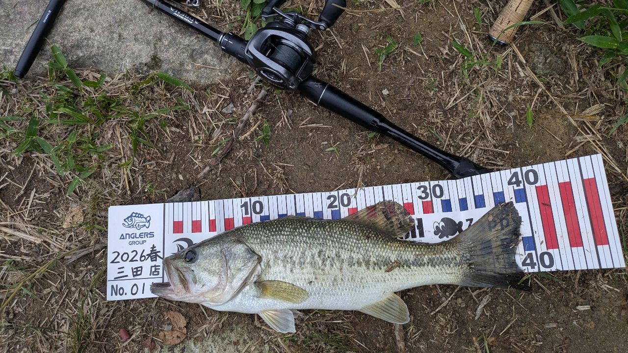 SHIMANO 18ポイズン アドレナ 172Mの最安値・インプレ・釣果 | 本音の