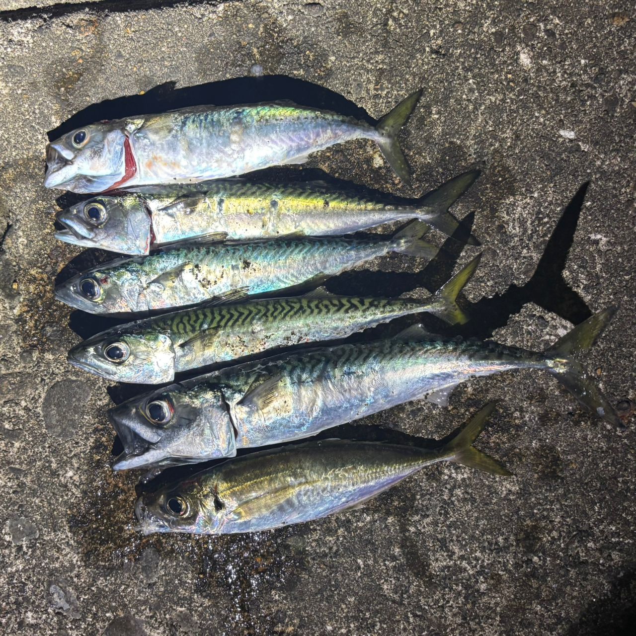 SHIMANO 22ソアレ SS アジング S54SUL-Sの最安値・インプレ・釣果