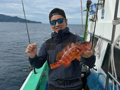 アカハタの釣果