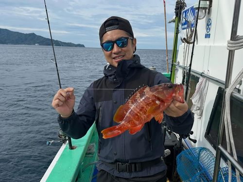 アカハタの釣果