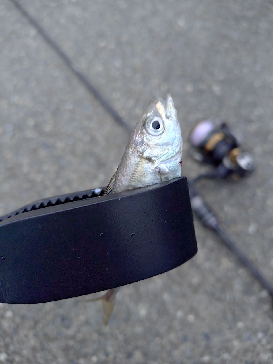 AbuGarcia ソルティースタイルアジング STAS-692LS-KRの最安値