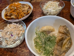 アナゴの釣果