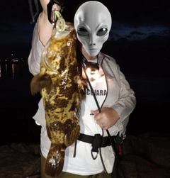 タケノコメバルの釣果
