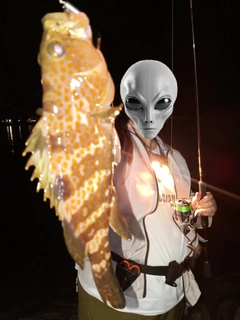 アコウの釣果