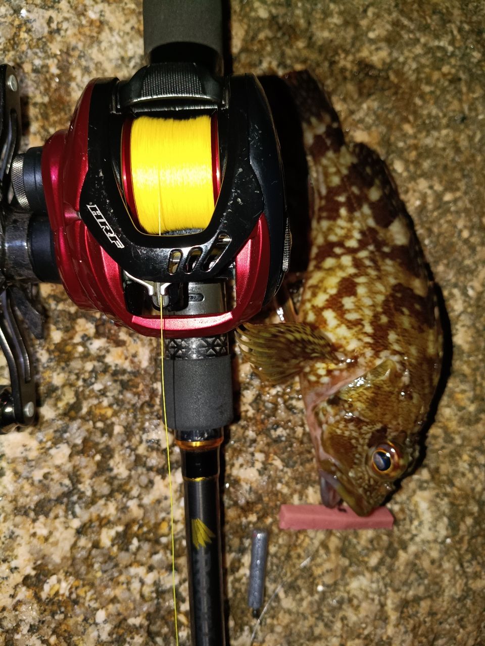 DAIWA HRF® PE スペシャル 2020年モデルの最安値・インプレ・釣果