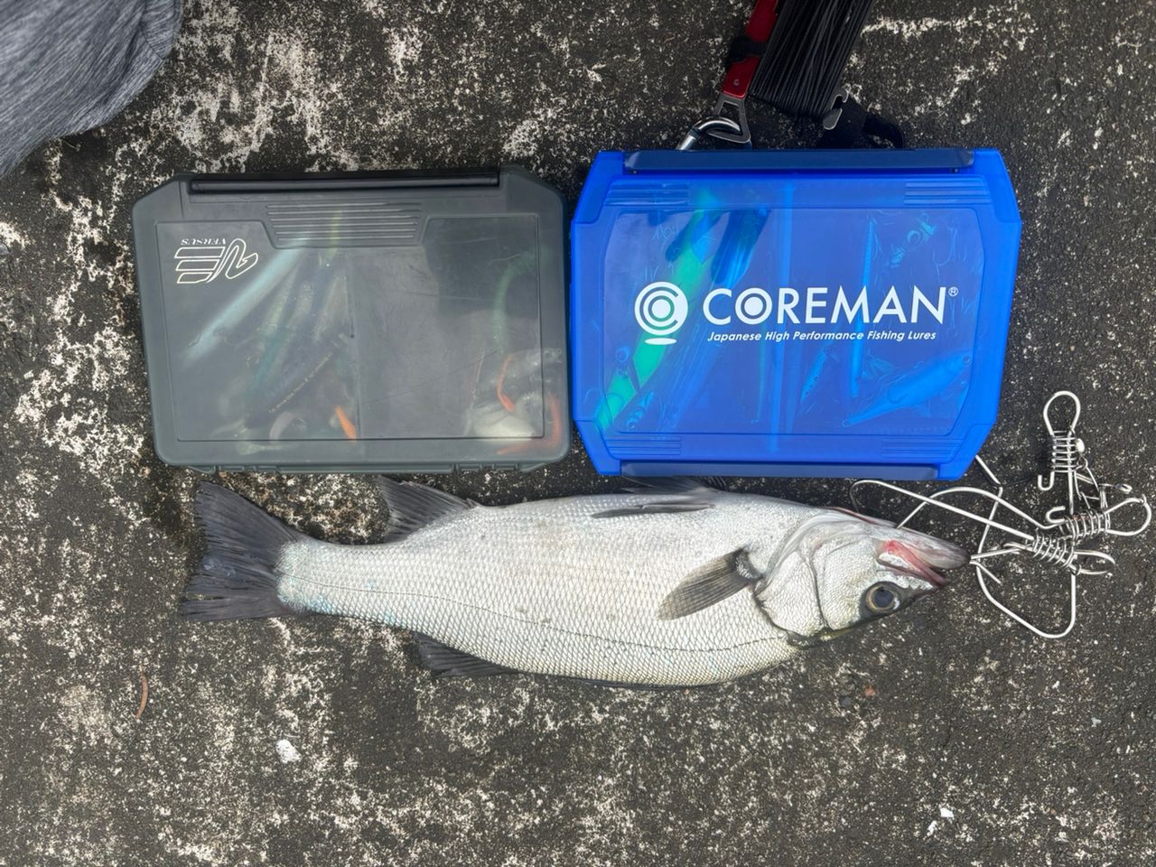 SHIMANO 22エクスセンス ∞ (インフィニティ) B86MLの最安値・インプレ