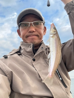 キスの釣果
