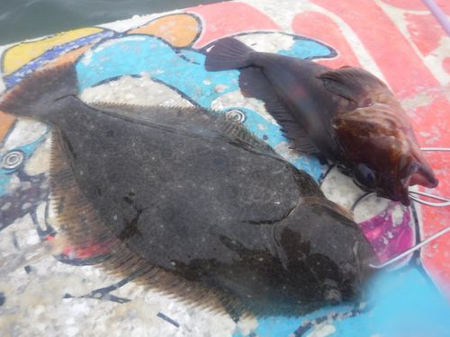 釣果