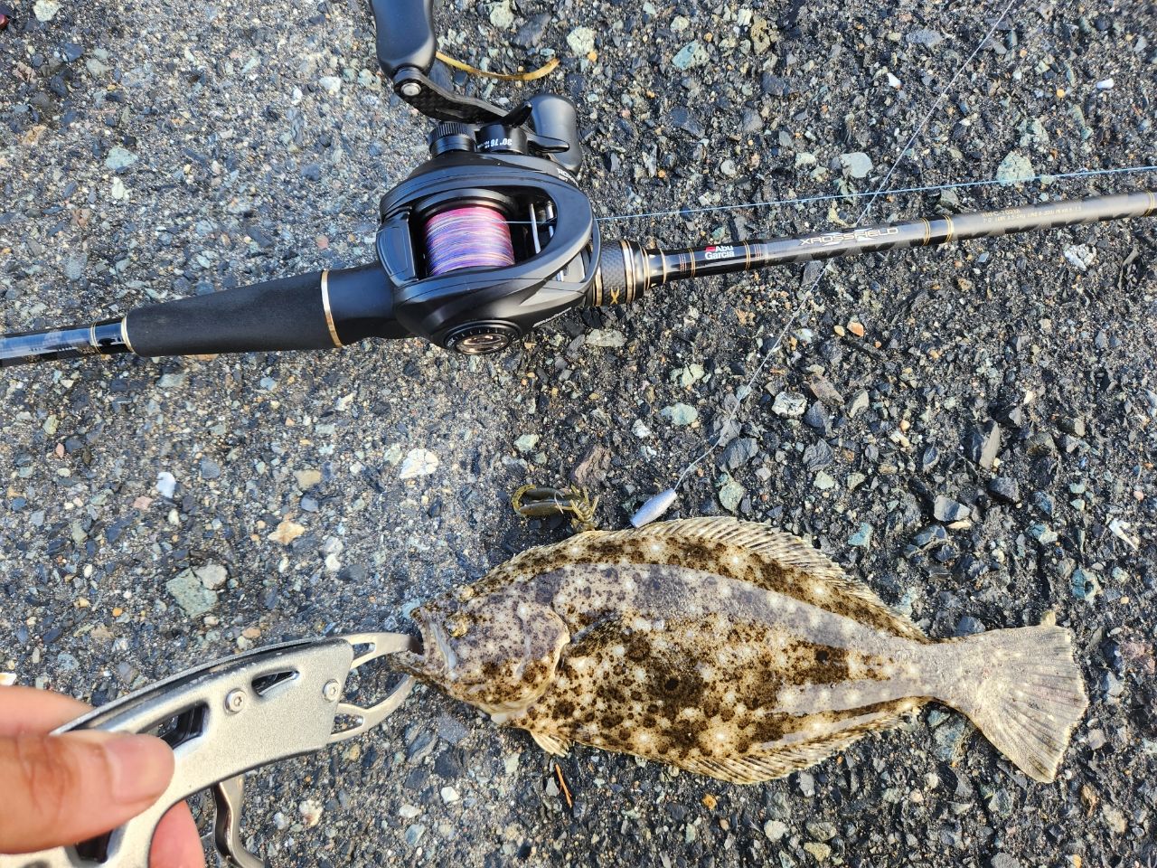 AbuGarcia クロスフィールド XRFC-702Mの最安値・インプレ・釣果