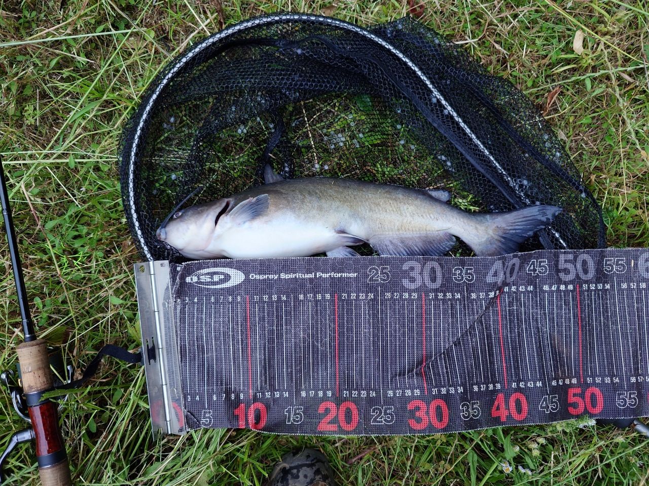 SHIMANO 21カーディフNX S64Lの最安値・インプレ・釣果 | 本音の口コミ