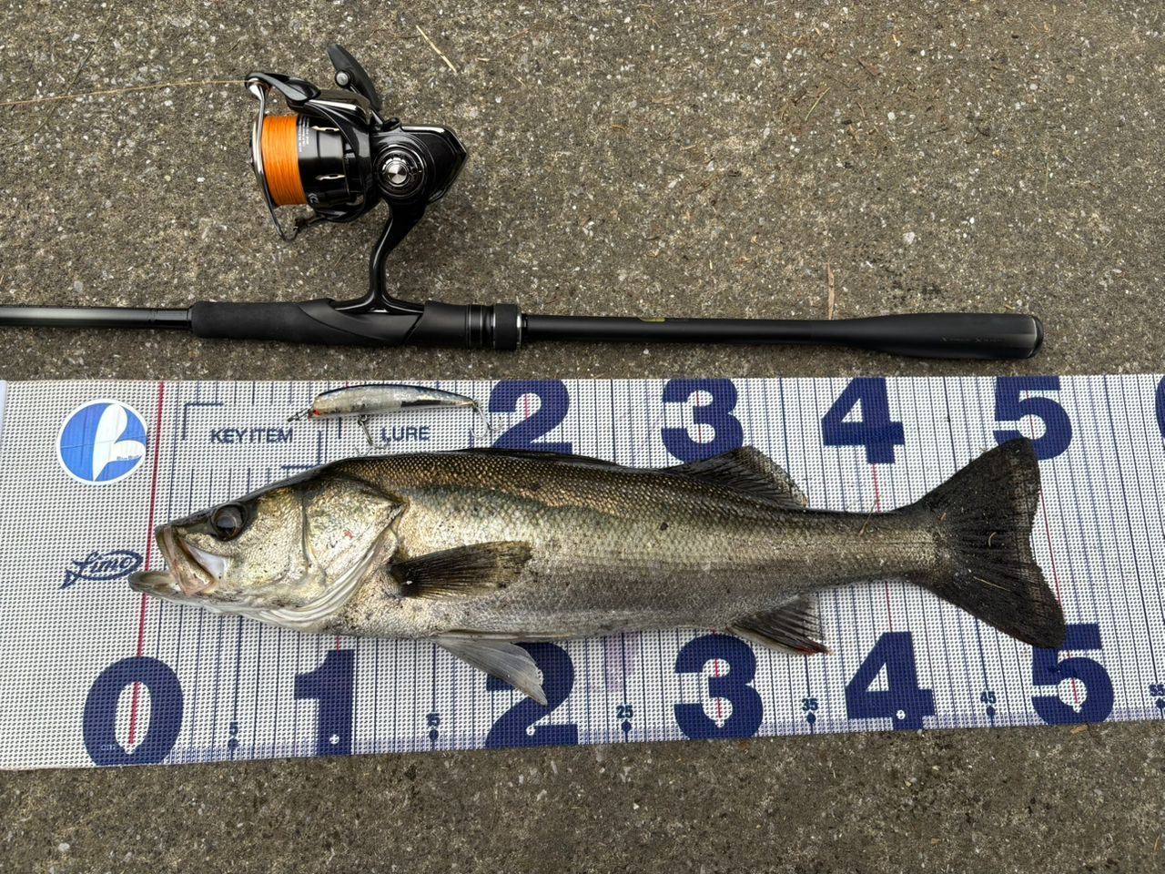 SHIMANO 23ディアルーナ S96MLの最安値・インプレ・釣果 | 本音の