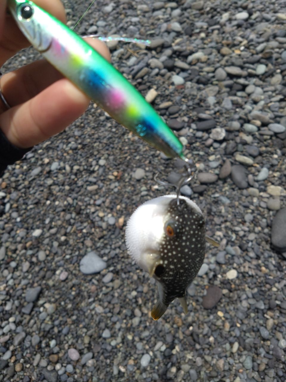 SHIMANO ネッサ CI4+ S1002MHの最安値・インプレ・釣果 | 本音の口コミ