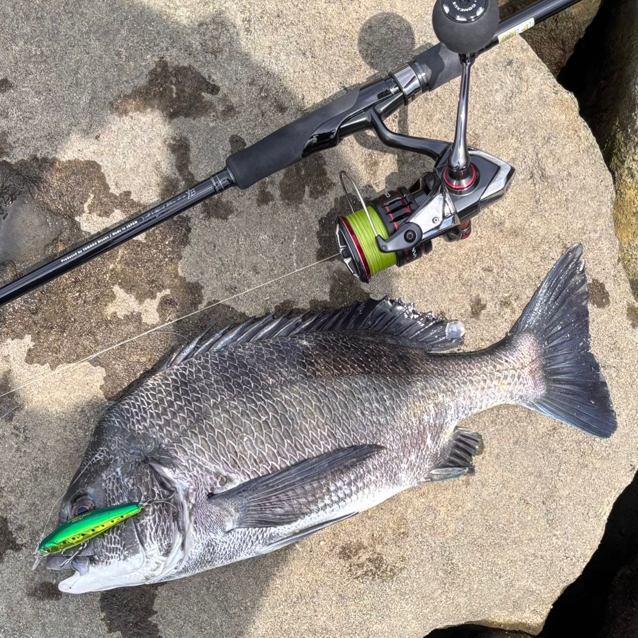 SHIMANO 20ヴァンフォード C3000HGの最安値・インプレ・釣果 | 本音の
