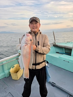 シロアマダイの釣果