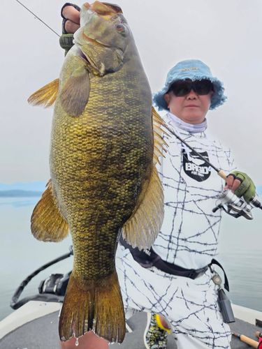 スモールマウスバスの釣果