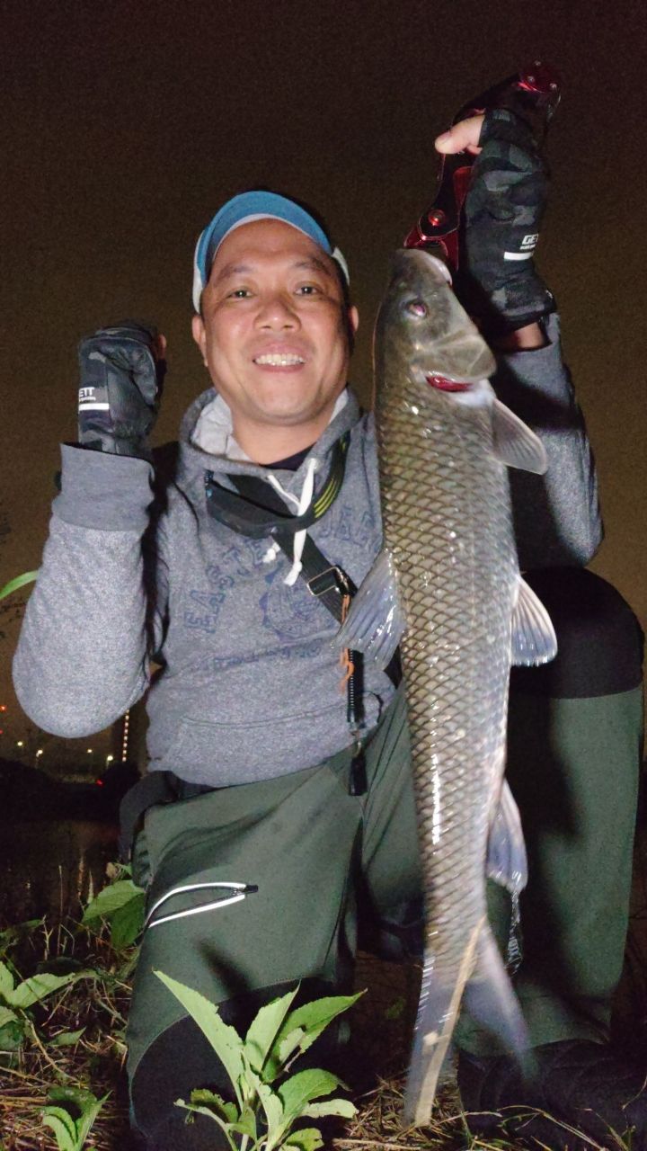SHIMANO 23ディアルーナ S96MLの最安値・インプレ・釣果 | 本音の