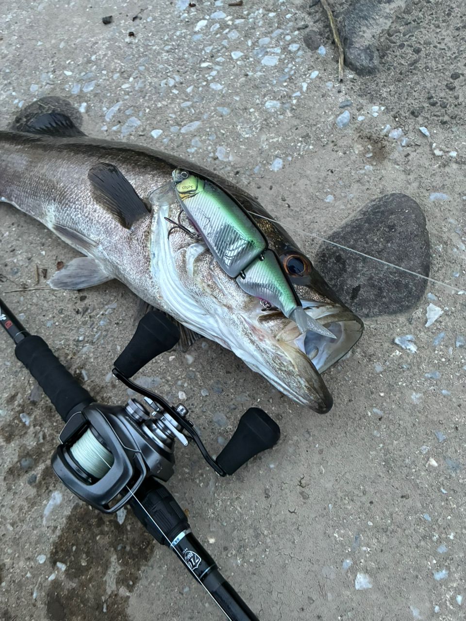 SHIMANO 22バンタム HG LEFTの最安値・インプレ・釣果 | 本音の口コミ