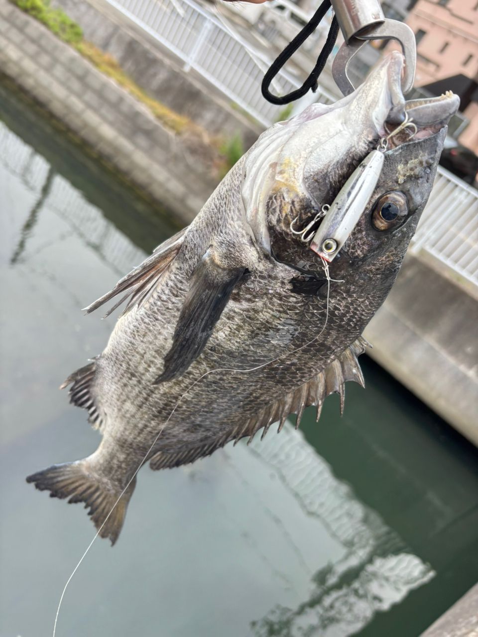 SHIMANO 22ソアレ SS S76L-Sの最安値・インプレ・釣果 | 本音の口コミ