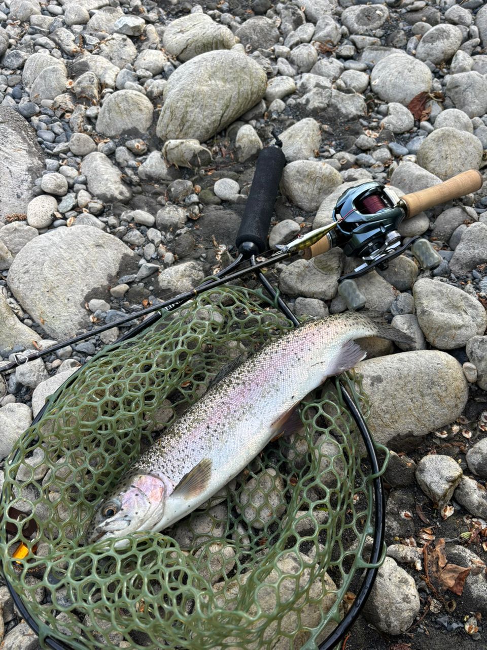 SHIMANO 22アルデバラン BFS XG LEFTの最安値・インプレ・釣果 | 本音