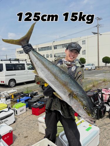ヒラマサの釣果